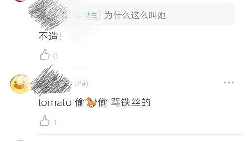 快速吃瓜小说2,揭秘娱乐圈背后的秘密风暴