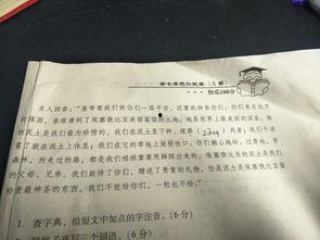 炎夏吃瓜的短文,清凉一“瓜”的消暑秘籍