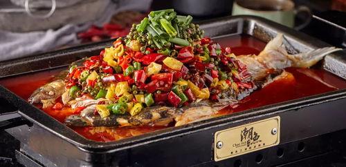 柯基吃烤鱼吃瓜视频,烤鱼吃瓜两不误