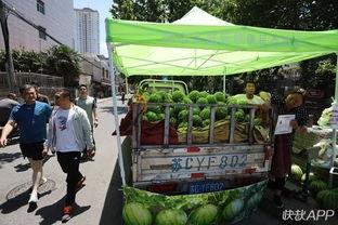 卖瓜吃瓜群众,卖瓜群众与吃瓜群众的智慧碰撞