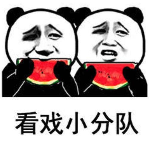 伸头吃瓜的表情包,笑看风云