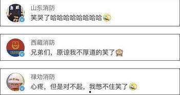 吃瓜小哥后续视频,揭秘娱乐圈幕后风云