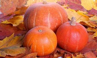 梦到吃瓜什么寓意,吃瓜背后的寓意与启示