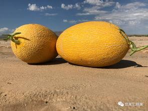 天亮吃瓜,揭秘娱乐圈的幕后真相