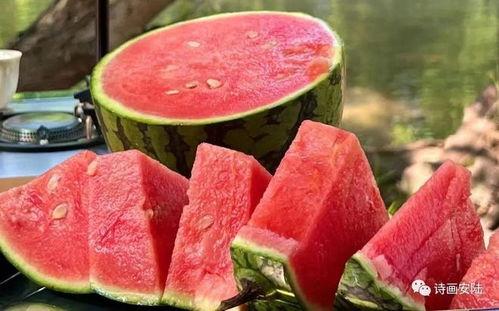 吃瓜接稿,吃瓜群众如何成为幕后推手