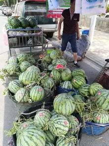 合肥本地吃瓜事件最新,真相与争议交织的社区冲突