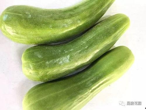 花园干部吃瓜,揭秘基层干部的休闲时光