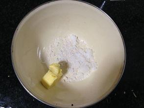 曲奇蜗牛吃瓜,曲奇蜗牛的瓜田奇遇记