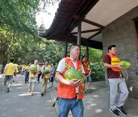 吃瓜群众才是主角,揭秘网络舆论场的真正主角