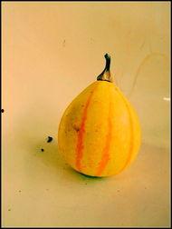 新沂热门事件吃瓜,揭秘吃瓜群众的狂欢盛宴