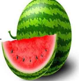 早上吃瓜胖吗,体重管理新挑战？揭秘瓜果早餐的增肥风险