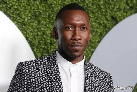 斯米尔吃瓜哥,揭秘娱乐圈幕后故事