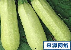 产妇可以吃白瓜吗,白瓜——产妇的滋补佳品