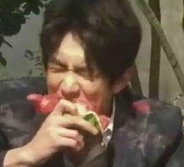 吃瓜拍大片,揭秘瓜界摄影达人秘籍